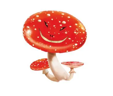 funghi astratti